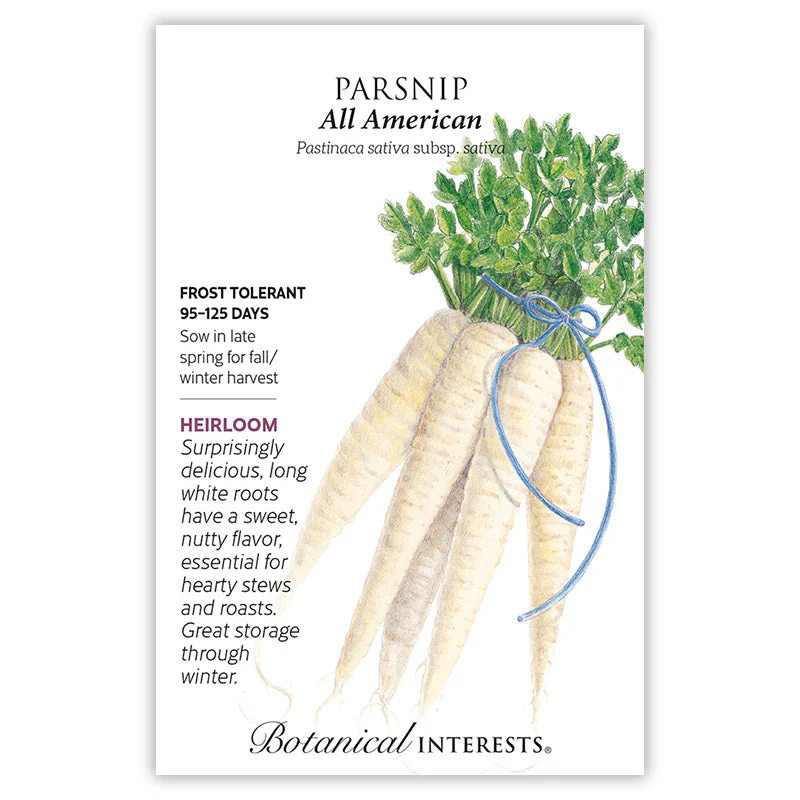 All American Parsnip Seeds - Image 3