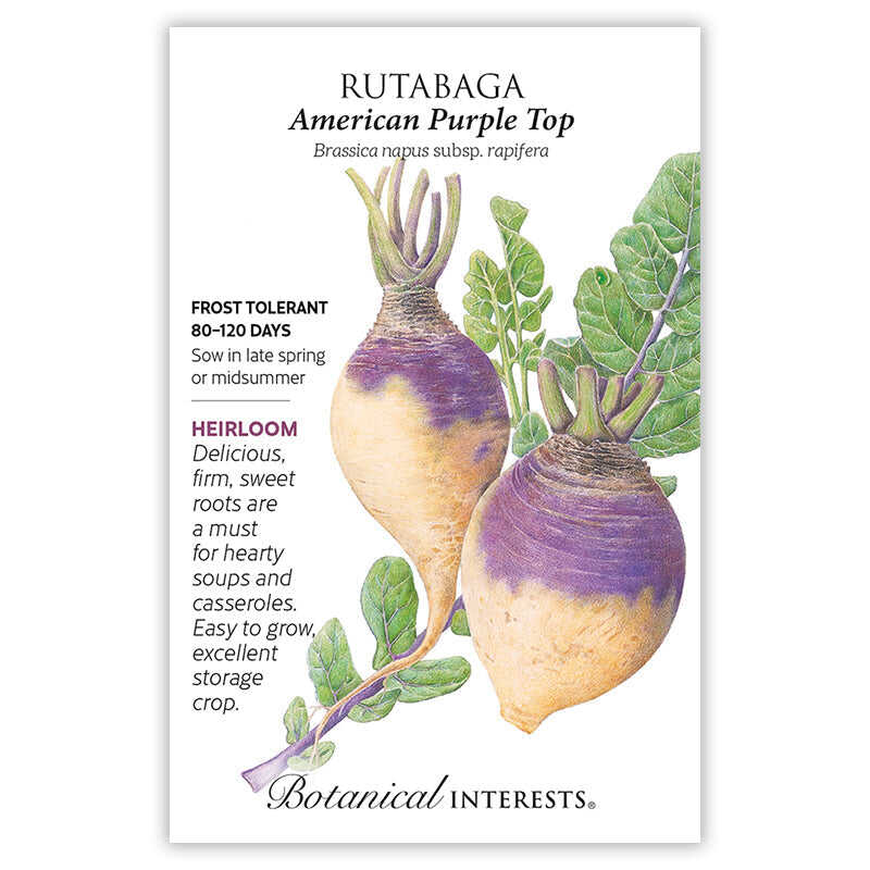 American Purple Top Rutabaga Seeds - Image 3