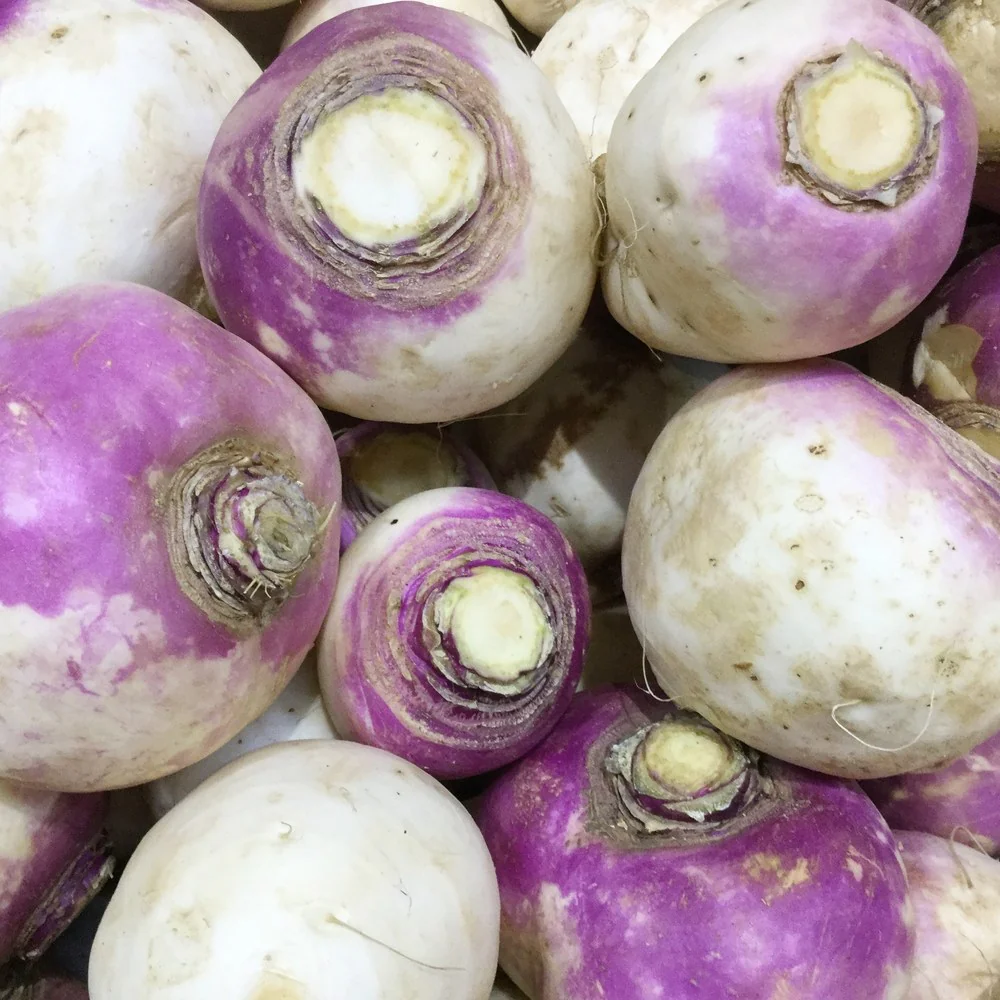 American Purple Top Rutabaga Seeds - Image 4