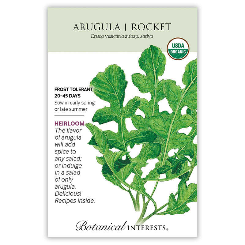 Arugula/Rocket Seeds - Image 3