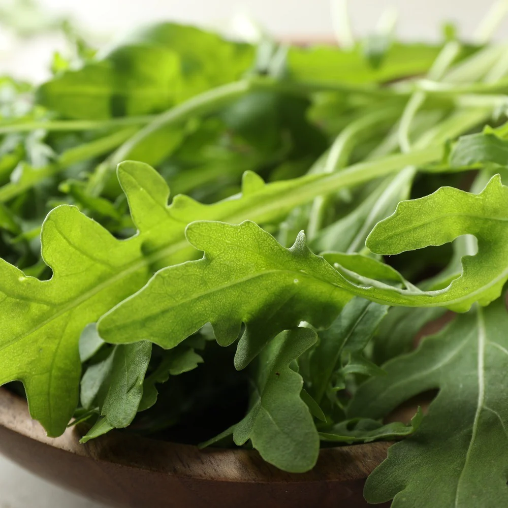 Arugula/Rocket Seeds - Image 4
