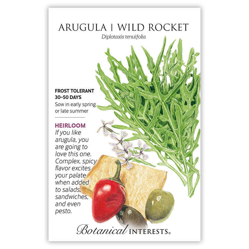 Arugula/Wild Rocket - Image 3