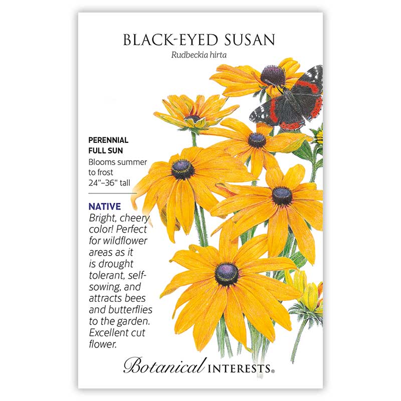 Black-Eyed Susan Seeds - Image 3
