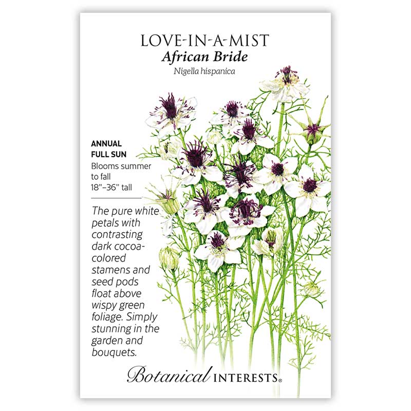 African Bride Love-In-A-Mist Seeds - Image 3