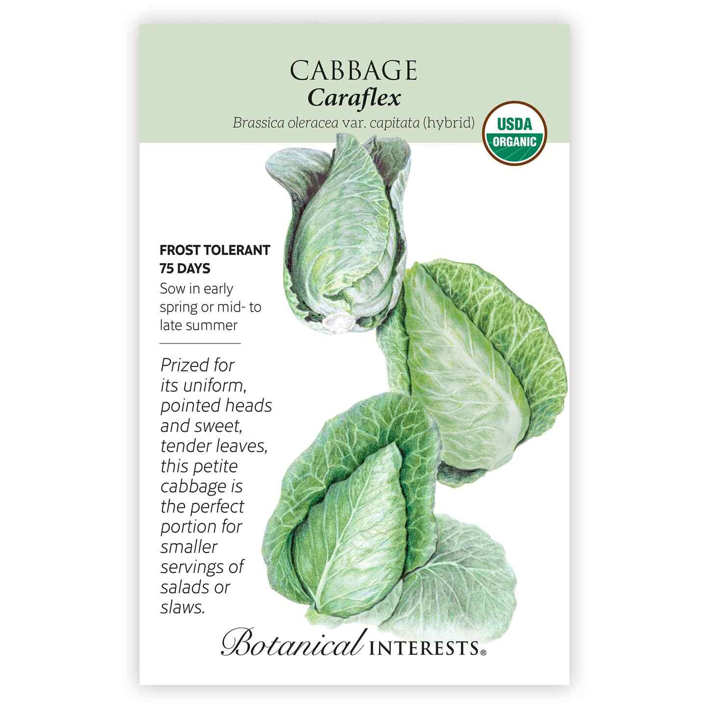 Caraflex Cabbage Seeds - Image 3