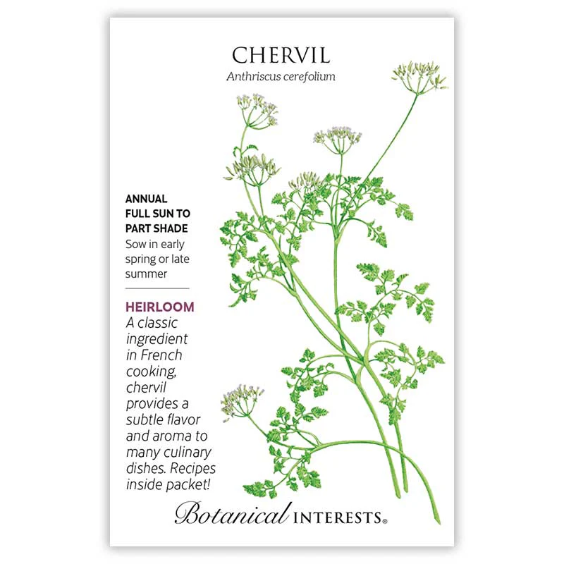 Chervil Seeds - Image 3