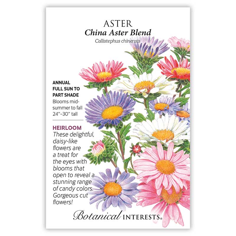 China Aster Blend Aster Seeds - Image 3