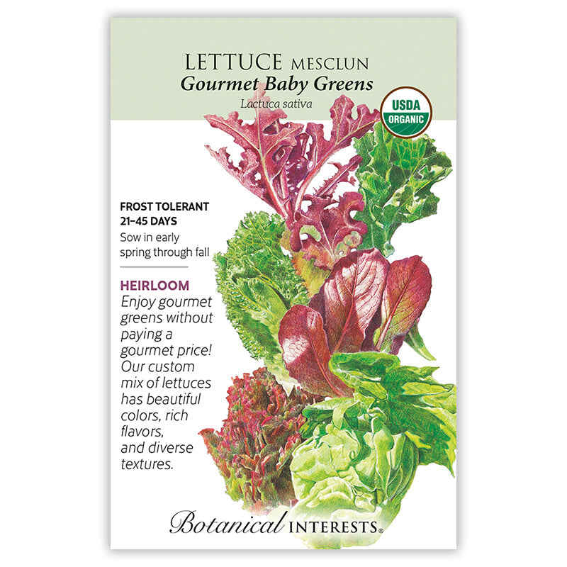 Gourmet Baby Greens Mesclun Lettuce Seeds - Image 3