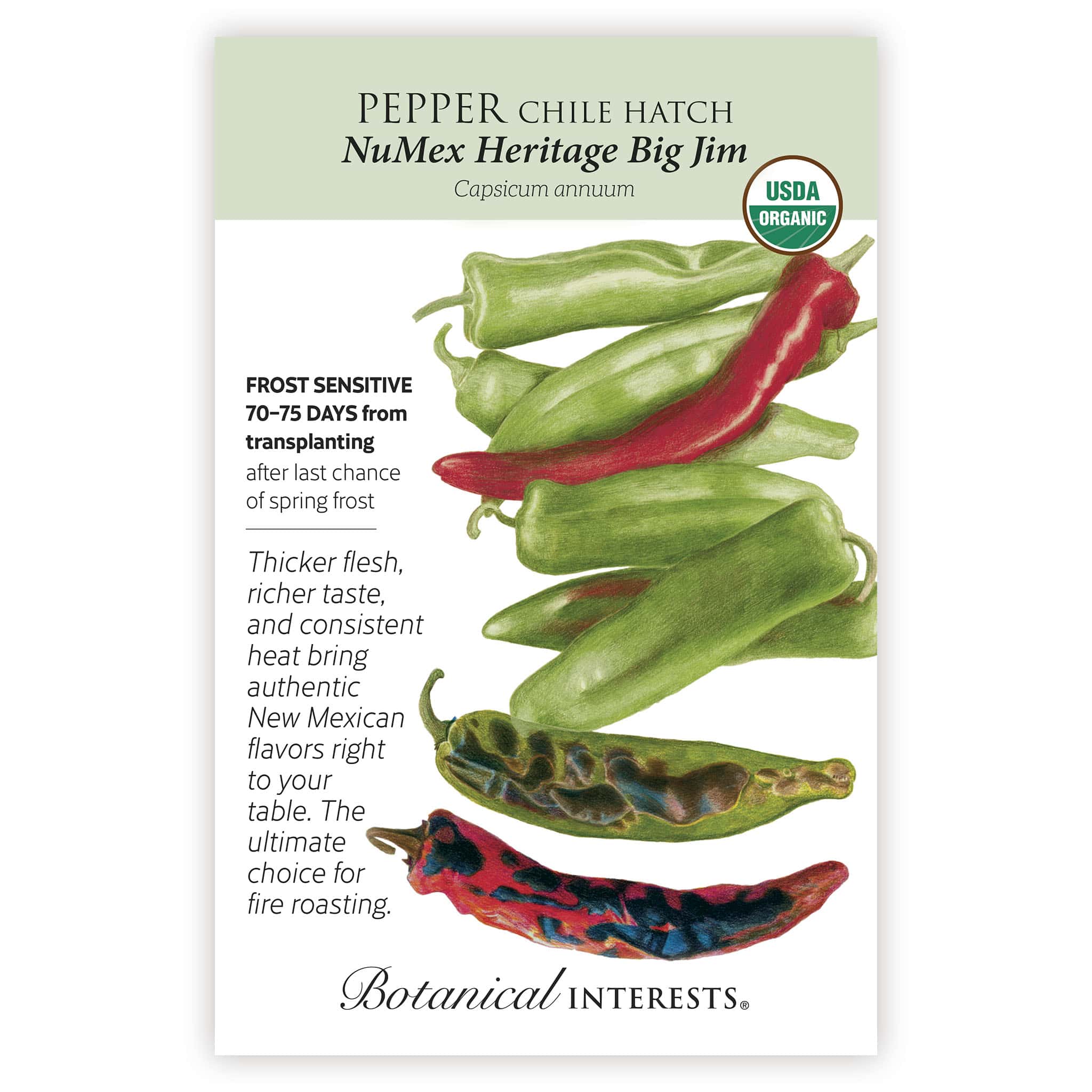 NuMex Heritage Big Jim Hatch Chile Pepper Seeds - Image 3