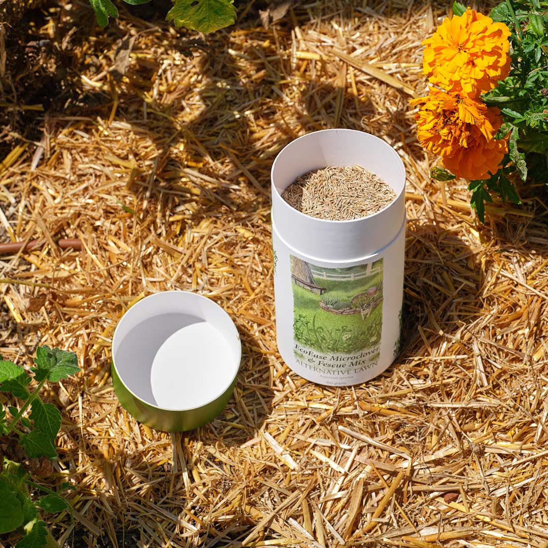 EcoEase Microclover and Fescue Mix Alternative Lawn Seed Shaker - Image 3
