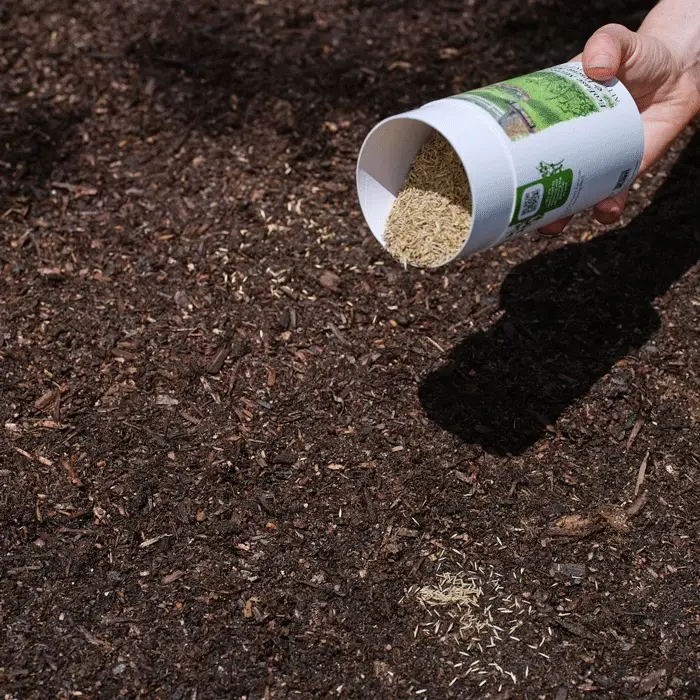 EcoEase Microclover and Fescue Mix Alternative Lawn Seed Shaker - Image 5