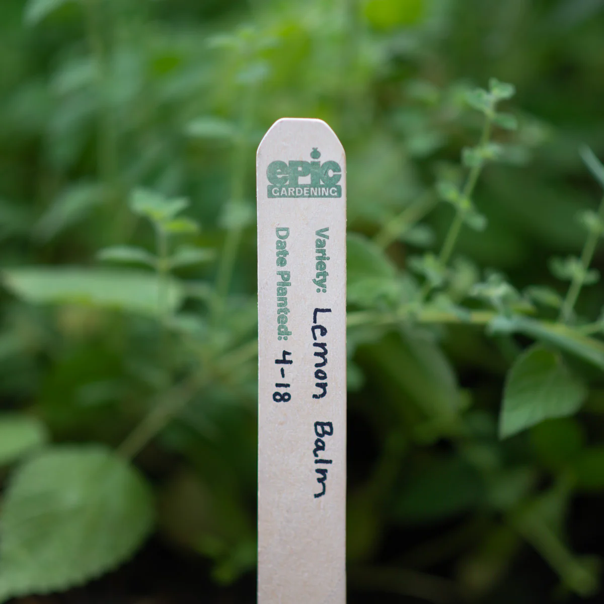 Epic Wood Garden Stakes - Image 5