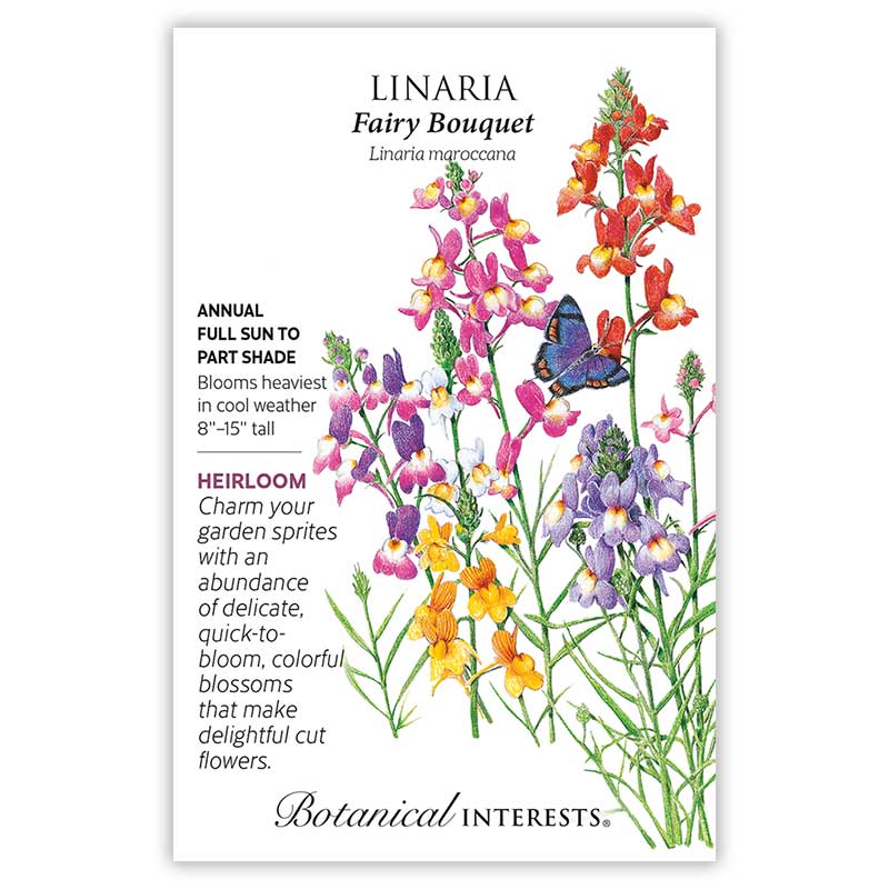 Fairy Bouquet Linaria Seeds - Image 3