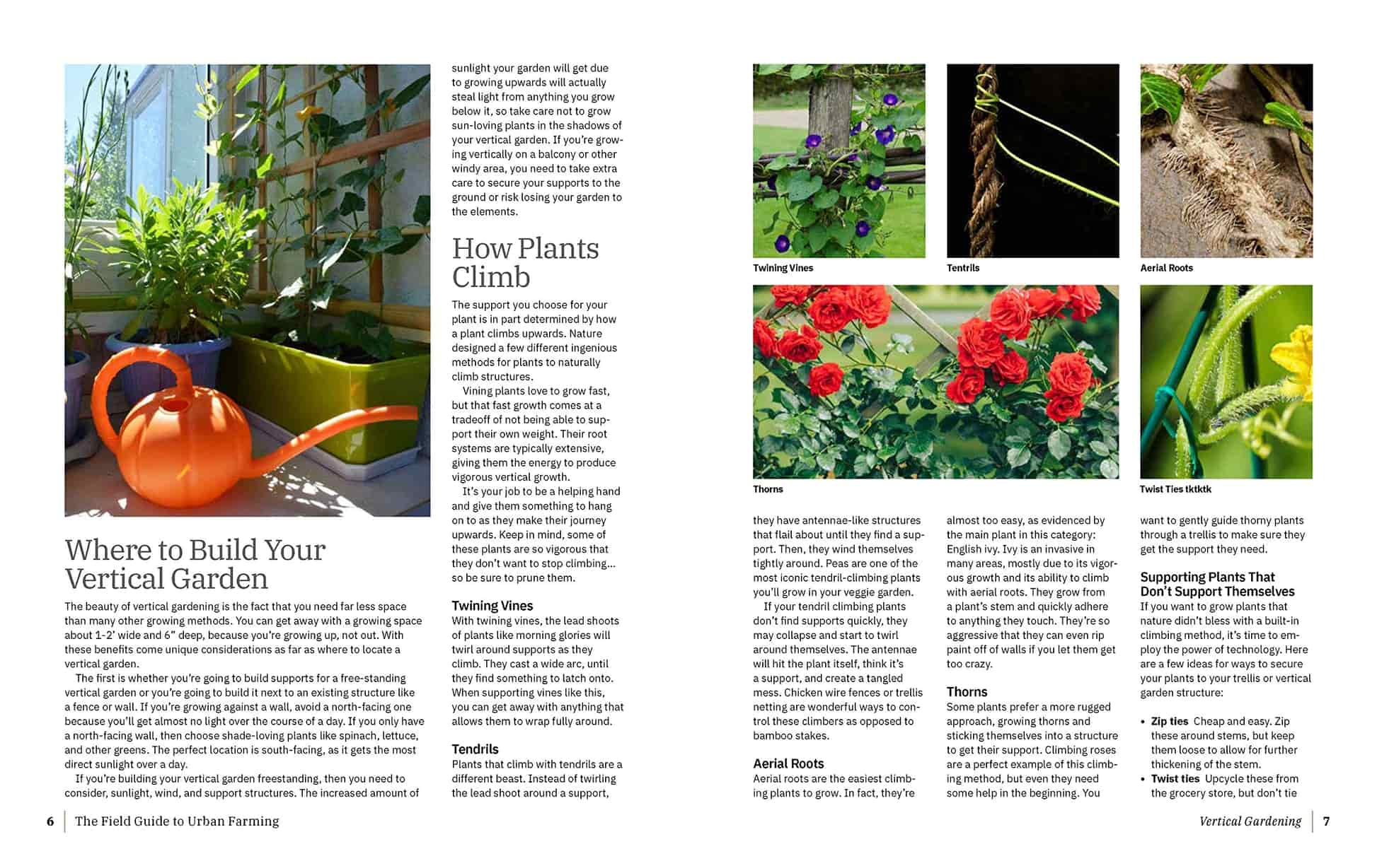 Field Guide to Urban Gardening - Image 3