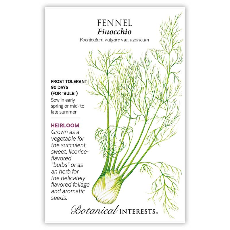 Finocchio Fennel Seeds - Image 3