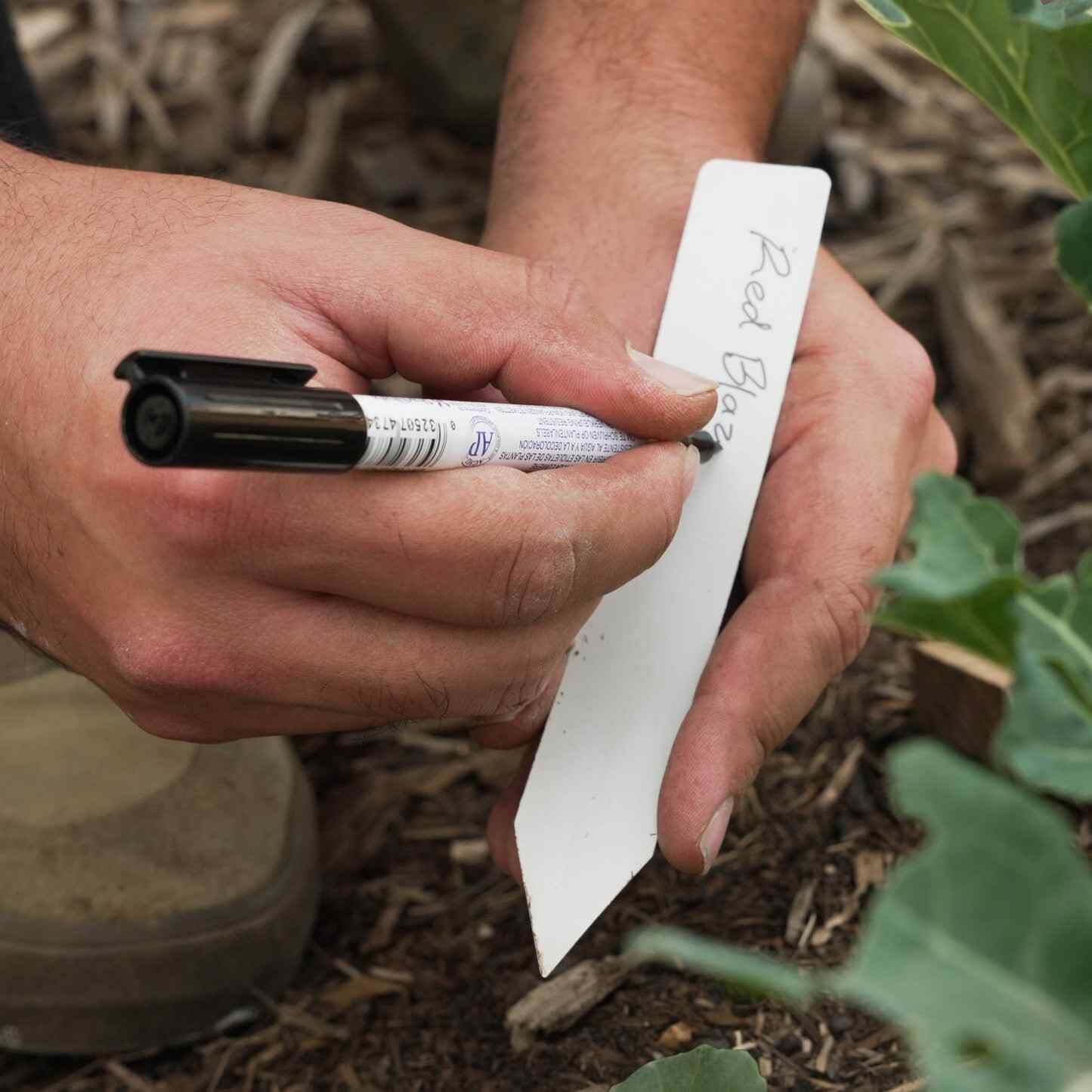 Garden Art Marker - Pack of 5 - Image 5