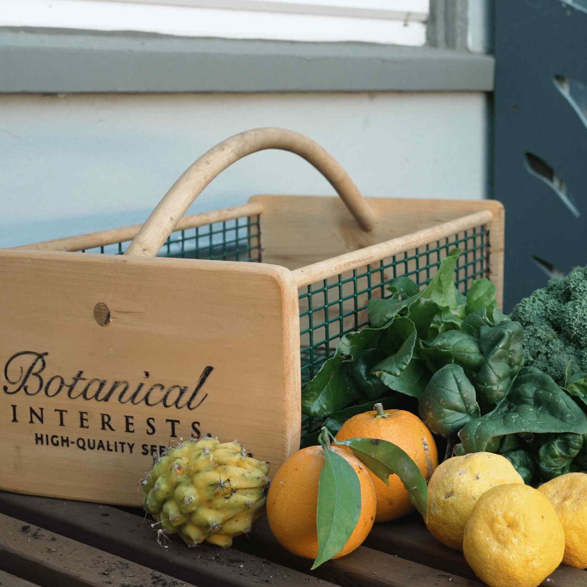 Harvest Basket - Image 4