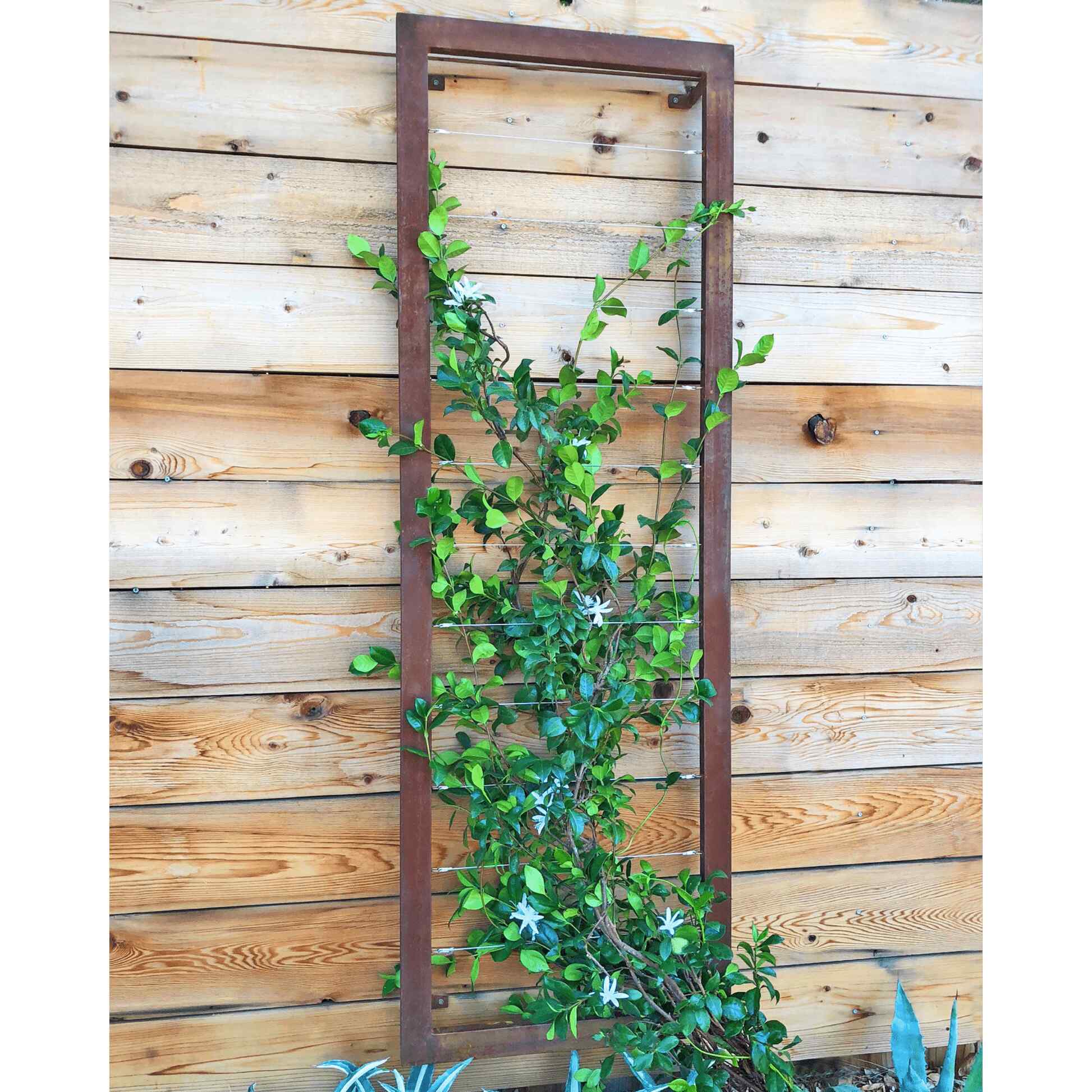 Ina Wall Trellis Large - Image 11
