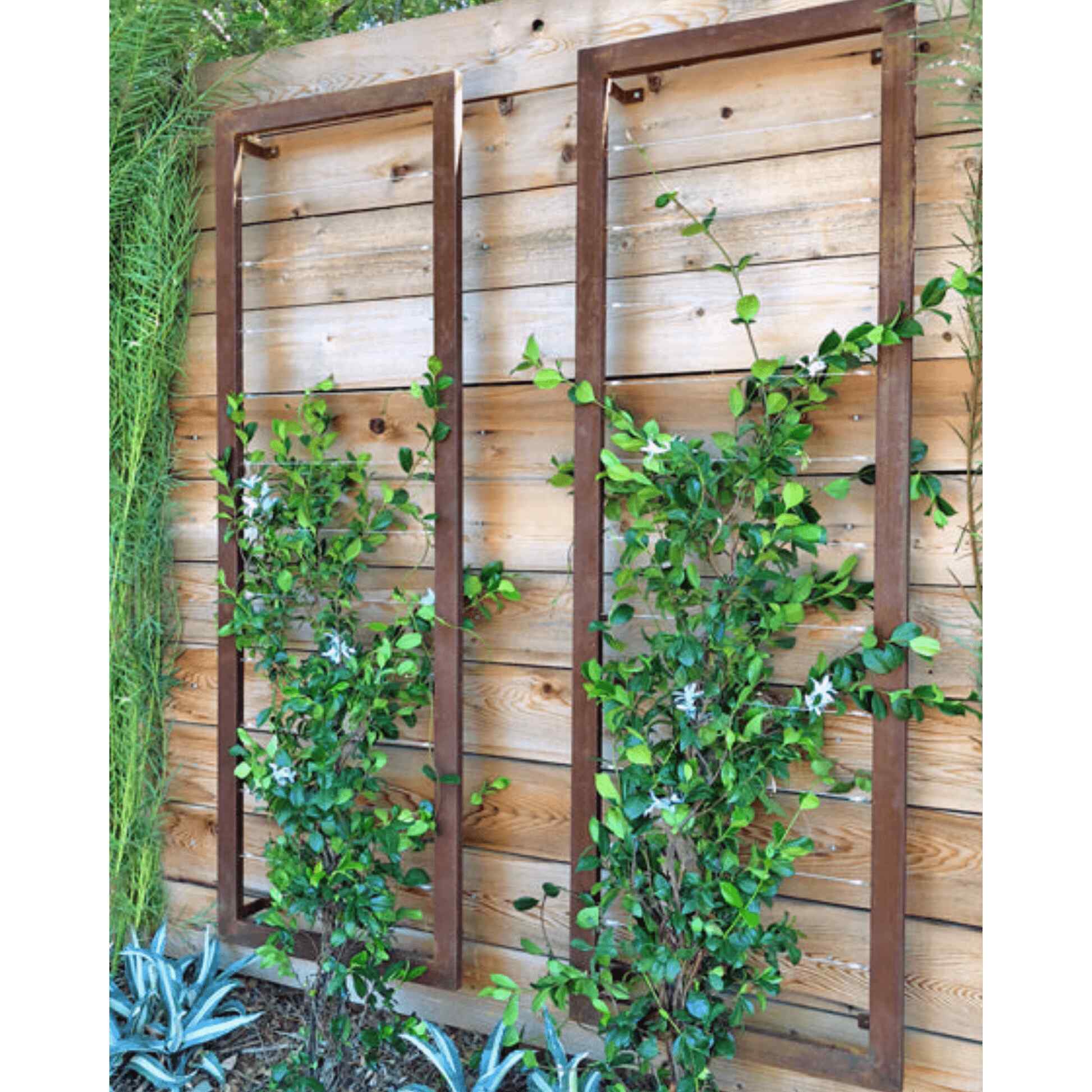Ina Wall Trellis Large - Image 5
