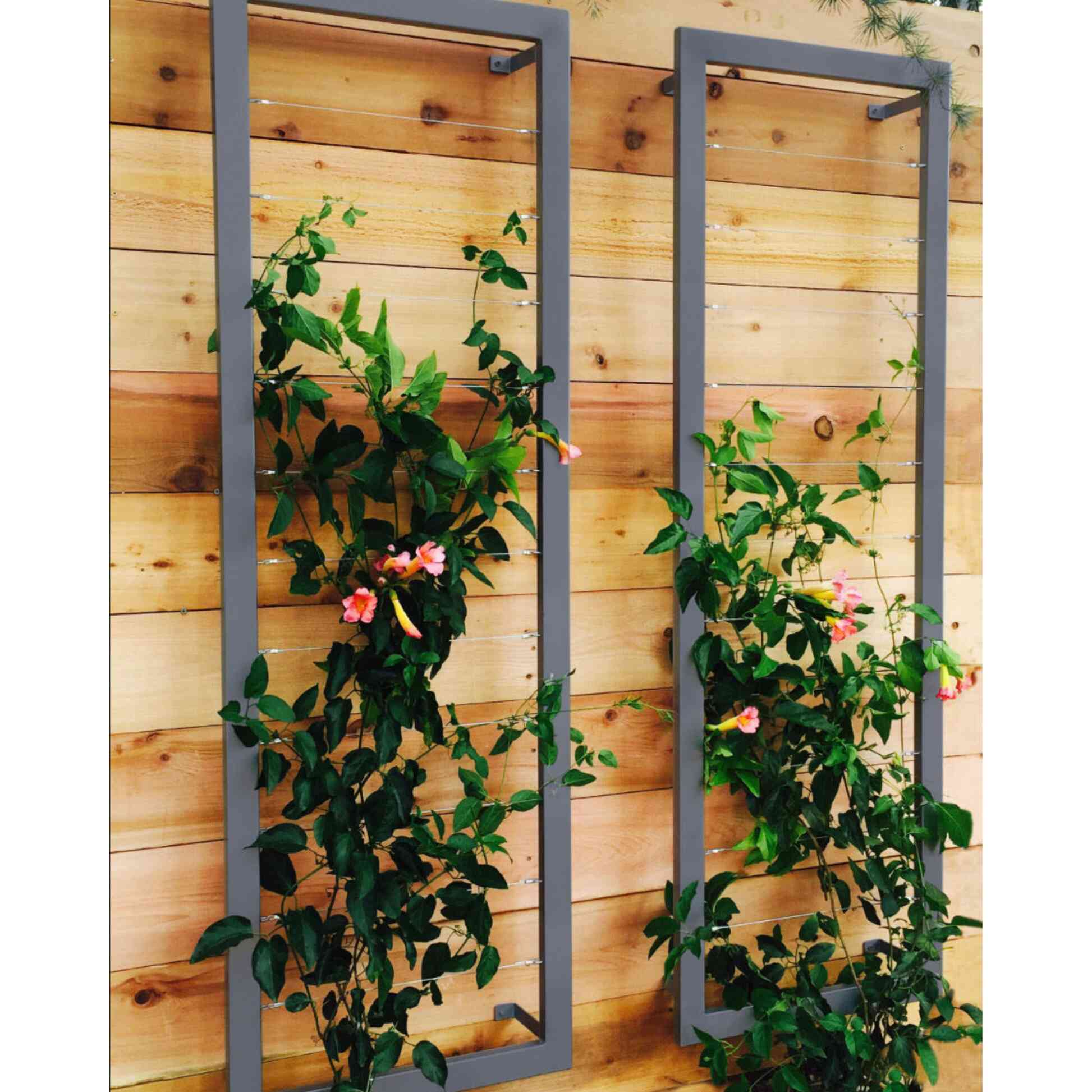 Ina Wall Trellis Large - Image 8