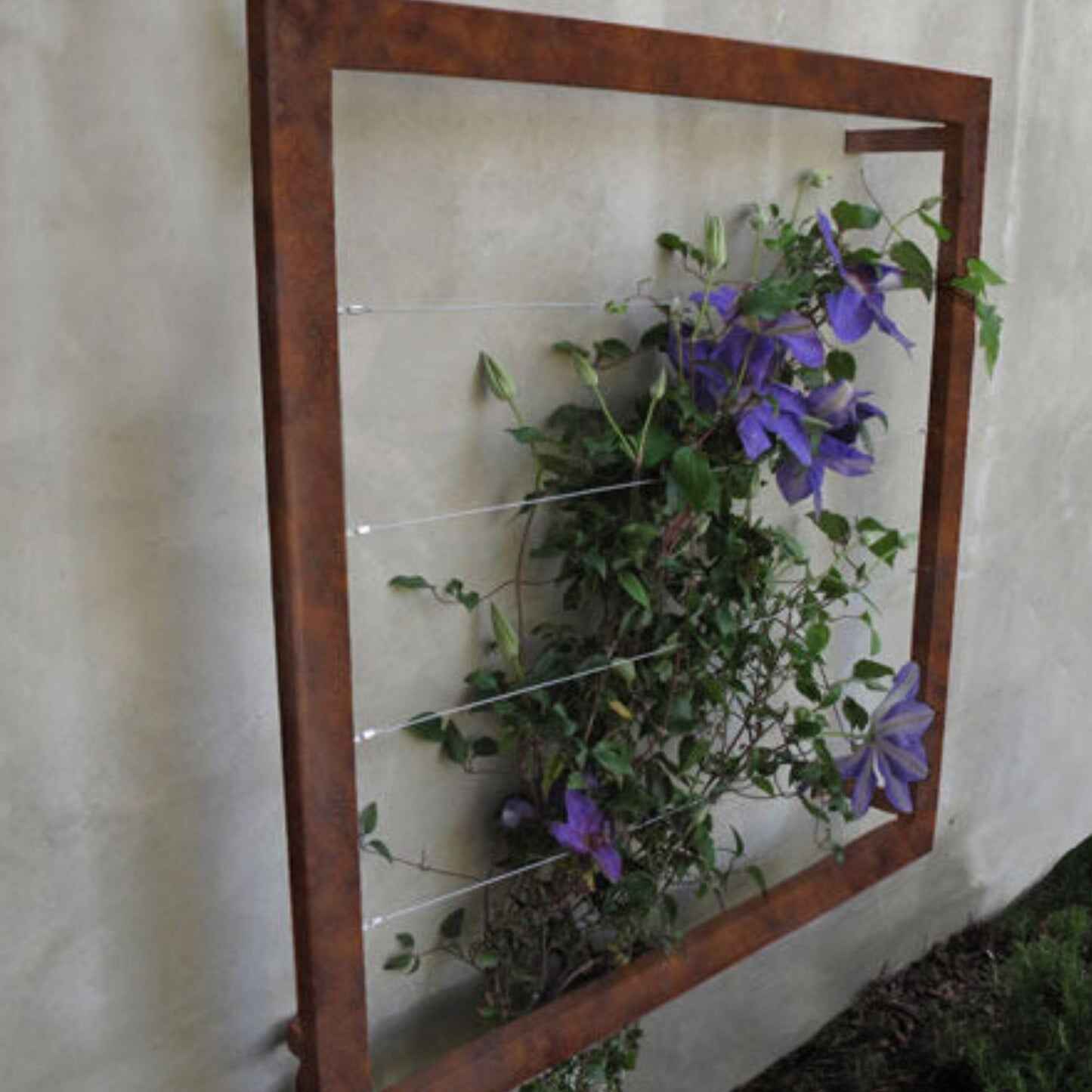Ina Wall Trellis Regular - Image 5