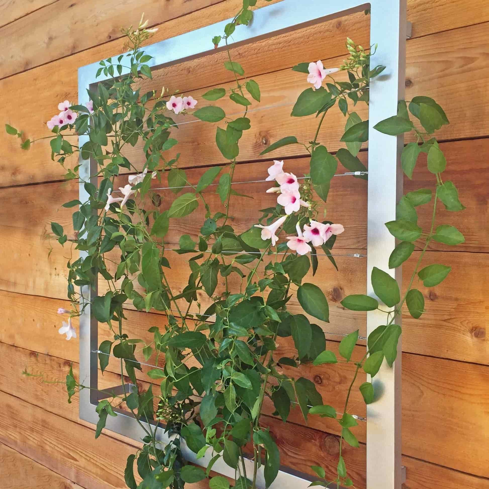 Ina Wall Trellis Regular - Image 8