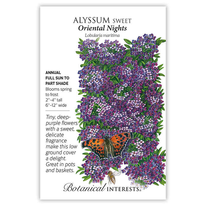 Oriental Nights Sweet Alyssum Seeds - Image 3