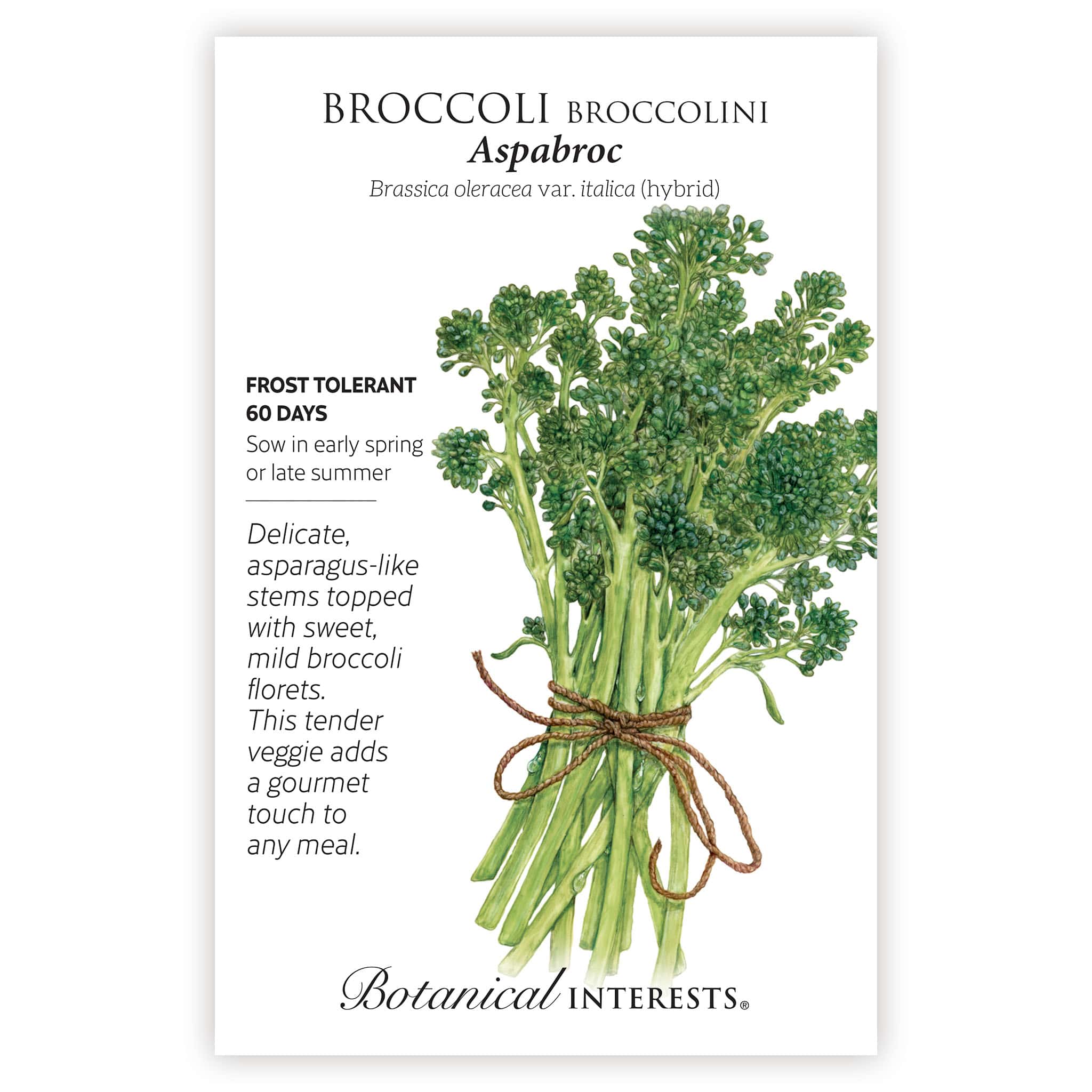 Aspabroc Broccolini Seeds - Image 3