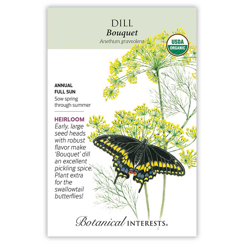 Bouquet Dill Seeds - Image 3