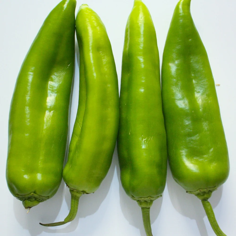 NuMex Heritage Big Jim Hatch Chile Pepper Seeds - Image 5