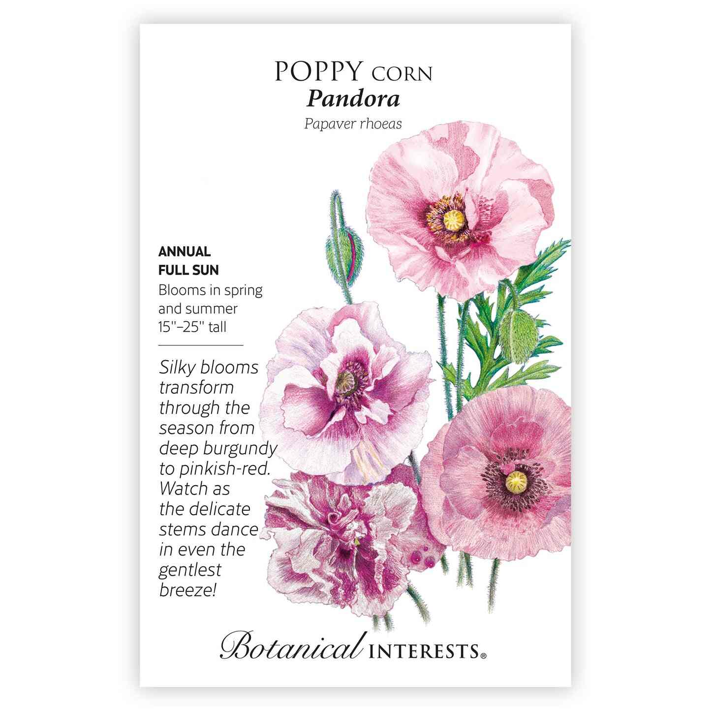 Pandora Poppy Seeds - Image 3