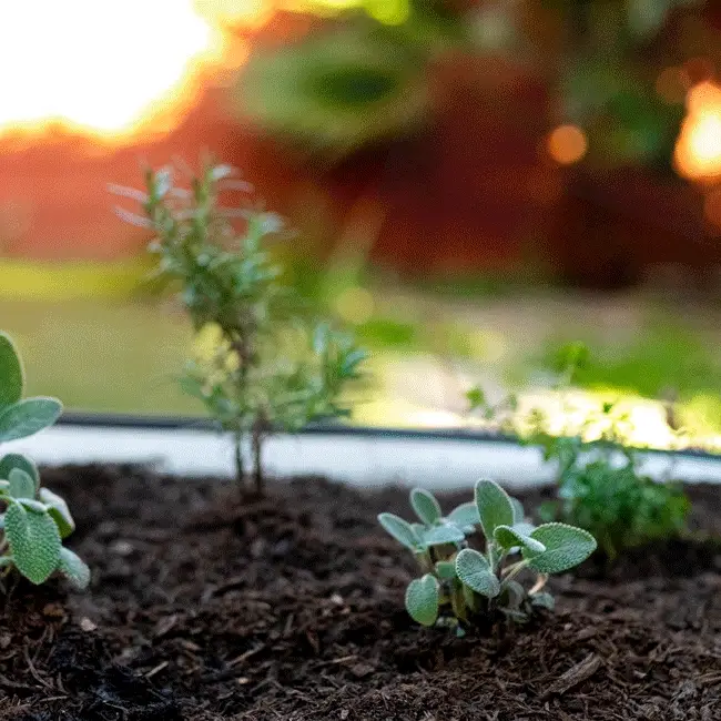 Epic Plant Tags - Image 10