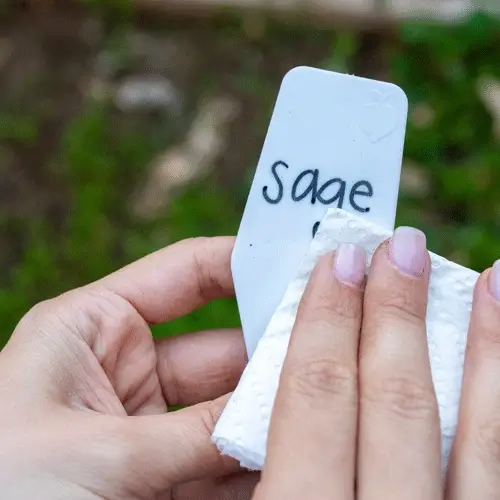 Epic Plant Tags - Image 11