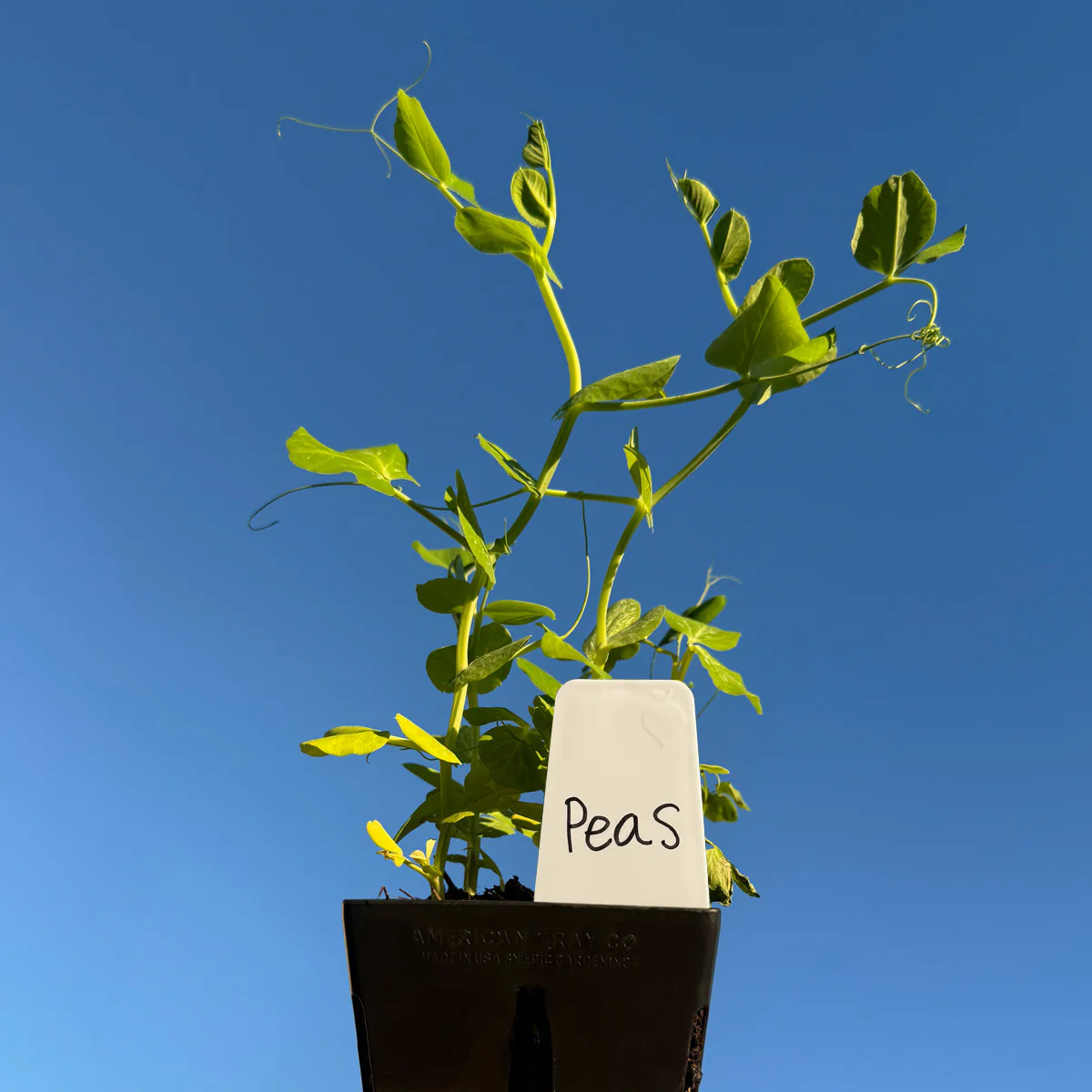 Epic Plant Tags - Image 12