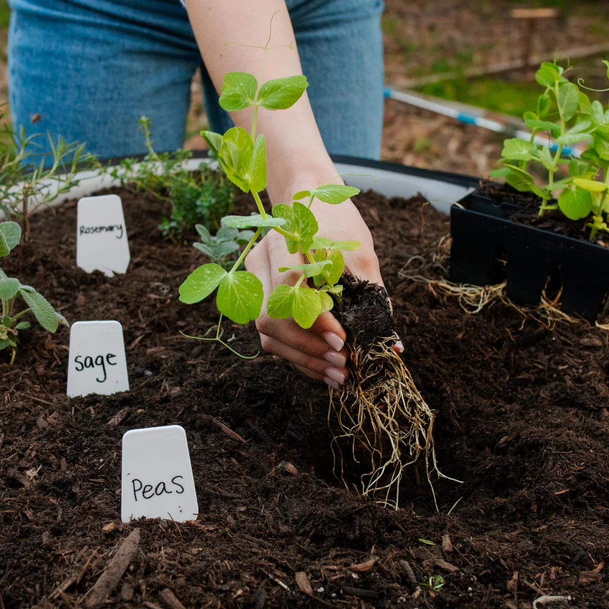 Epic Plant Tags - Image 7