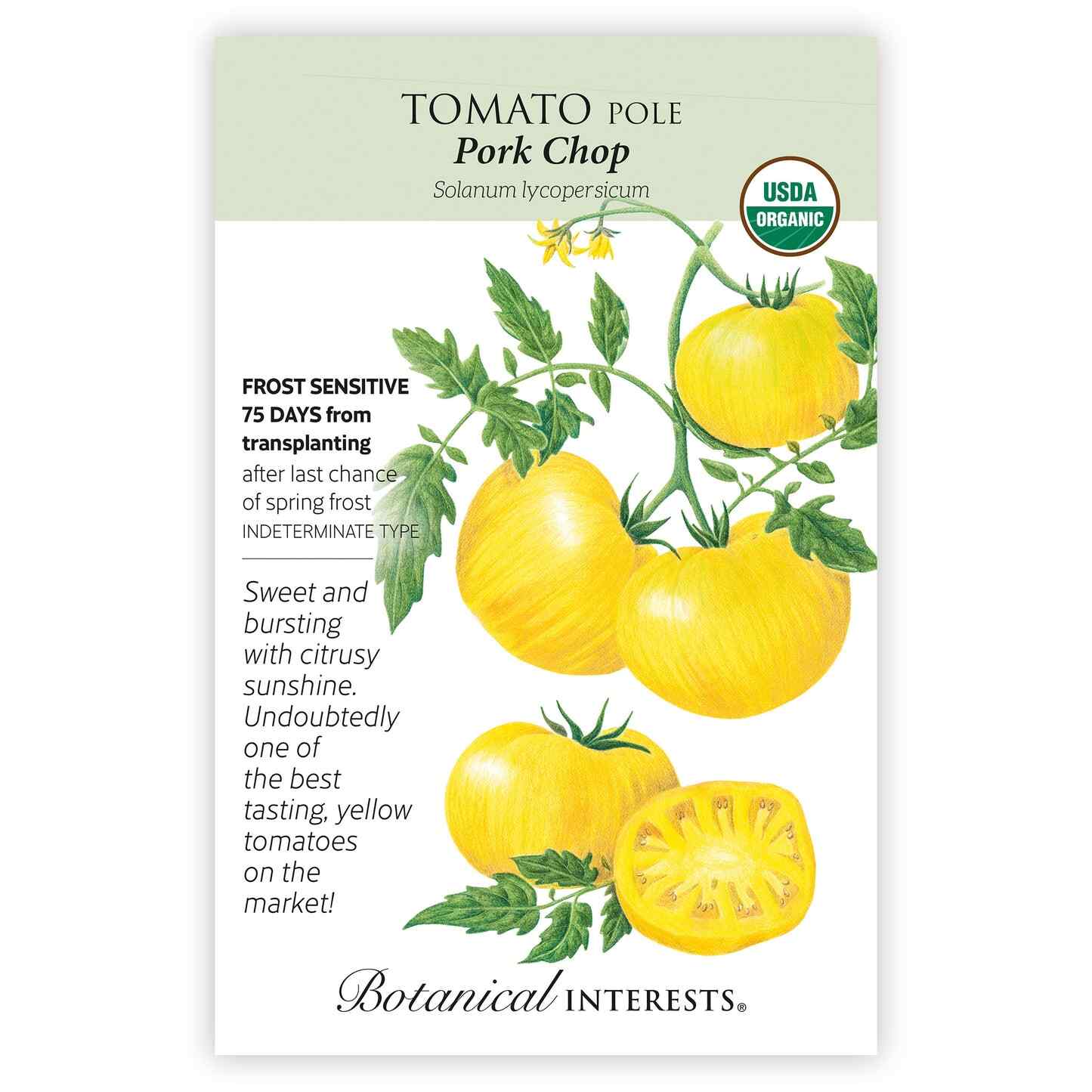 Pork Chop Pole Tomato Seeds - Image 3