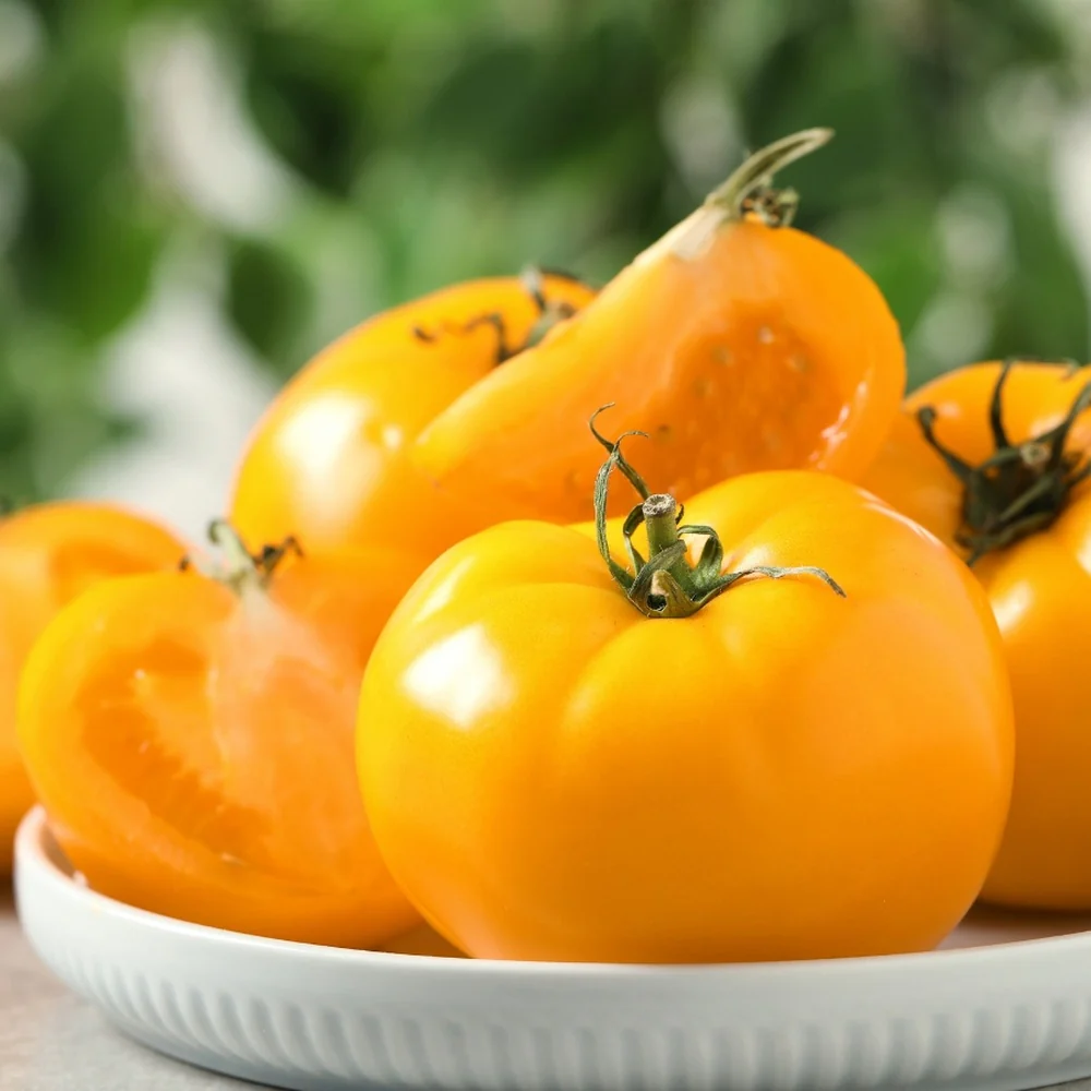 Pork Chop Pole Tomato Seeds - Image 4