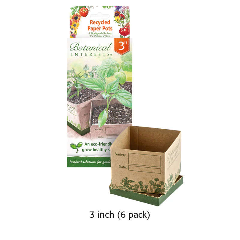 Recycled Paper Pots For Seedlings - Image 6