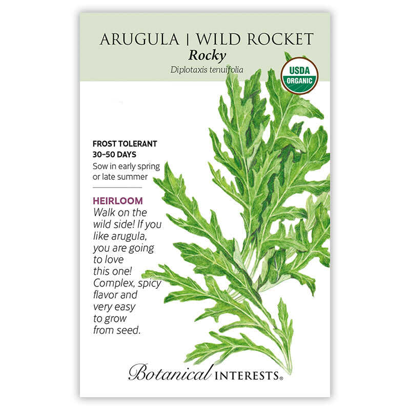 Rocky Arugula/Wild Rocket - Image 3