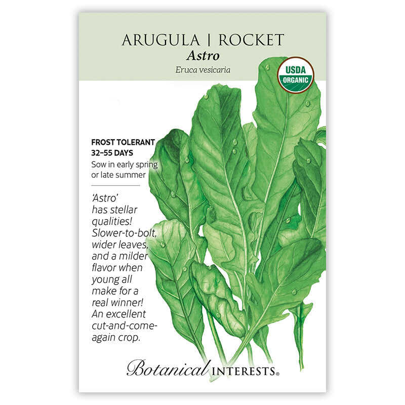 Astro Arugula/Rocket Seeds - Image 3