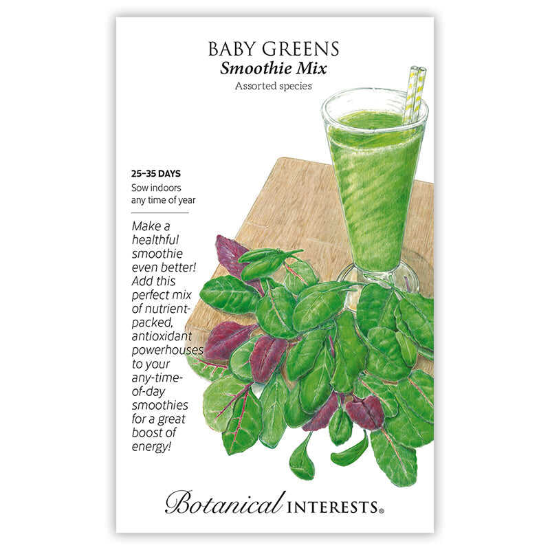 Smoothie Mix Baby Greens Seeds - Image 3