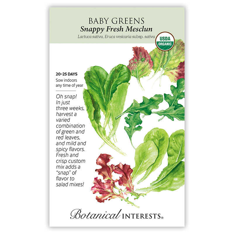 Snappy Fresh Mesclun Baby Greens Seeds - Image 3