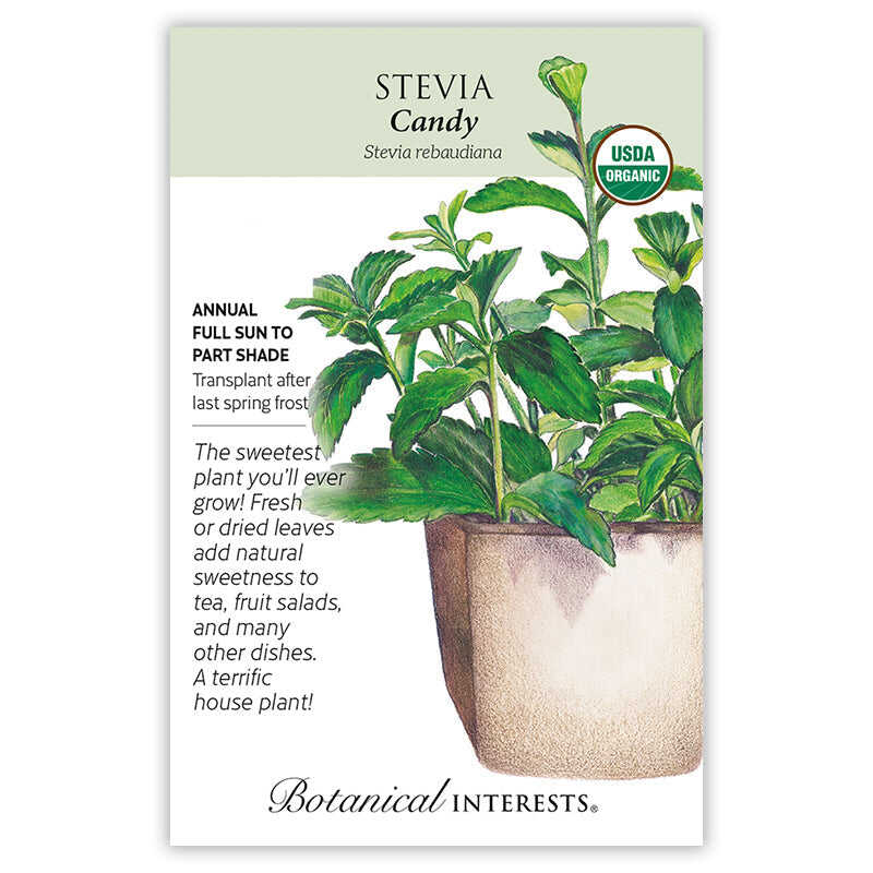 Candy Stevia Seeds - Image 3