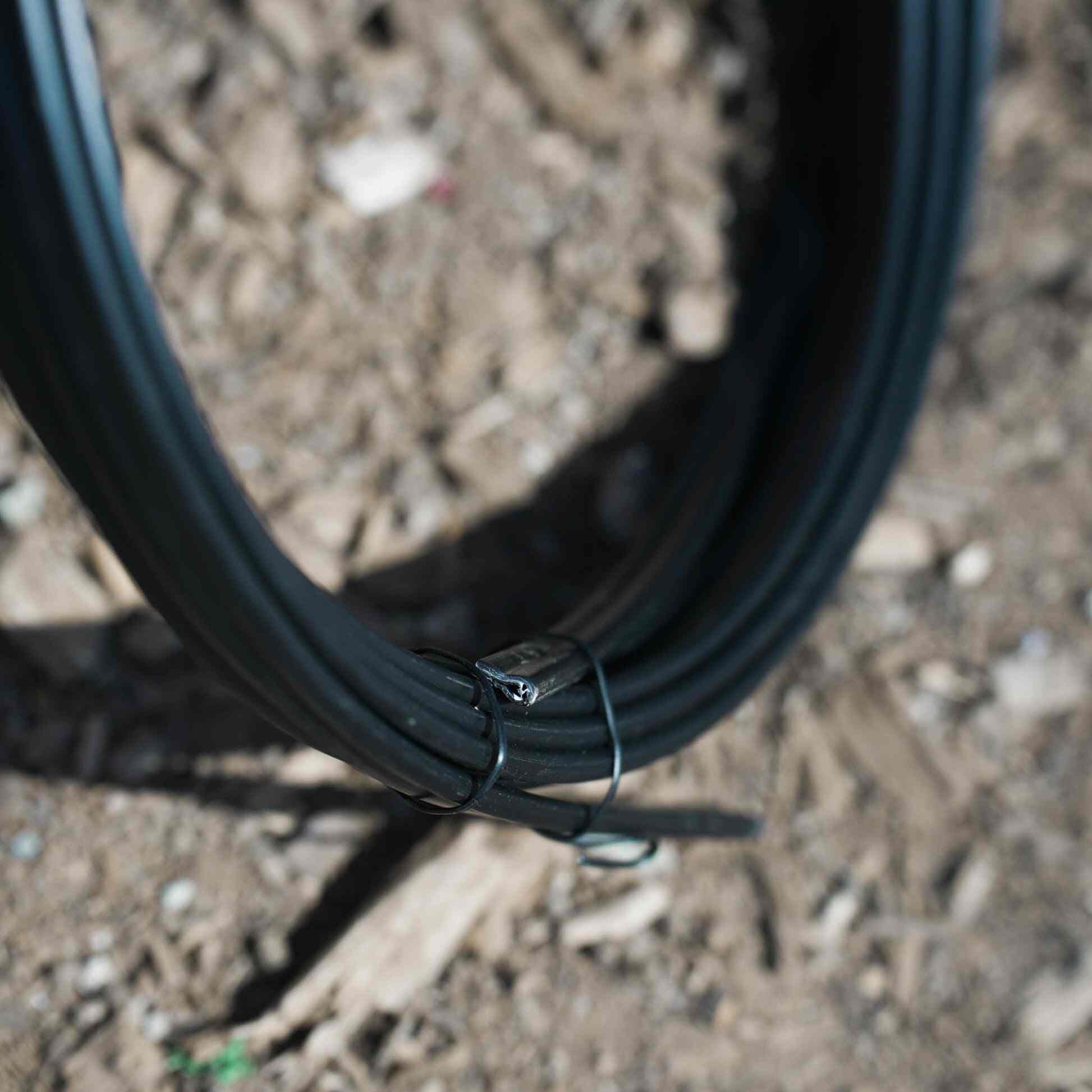 Birdies Vinyl Black Edging - Image 3