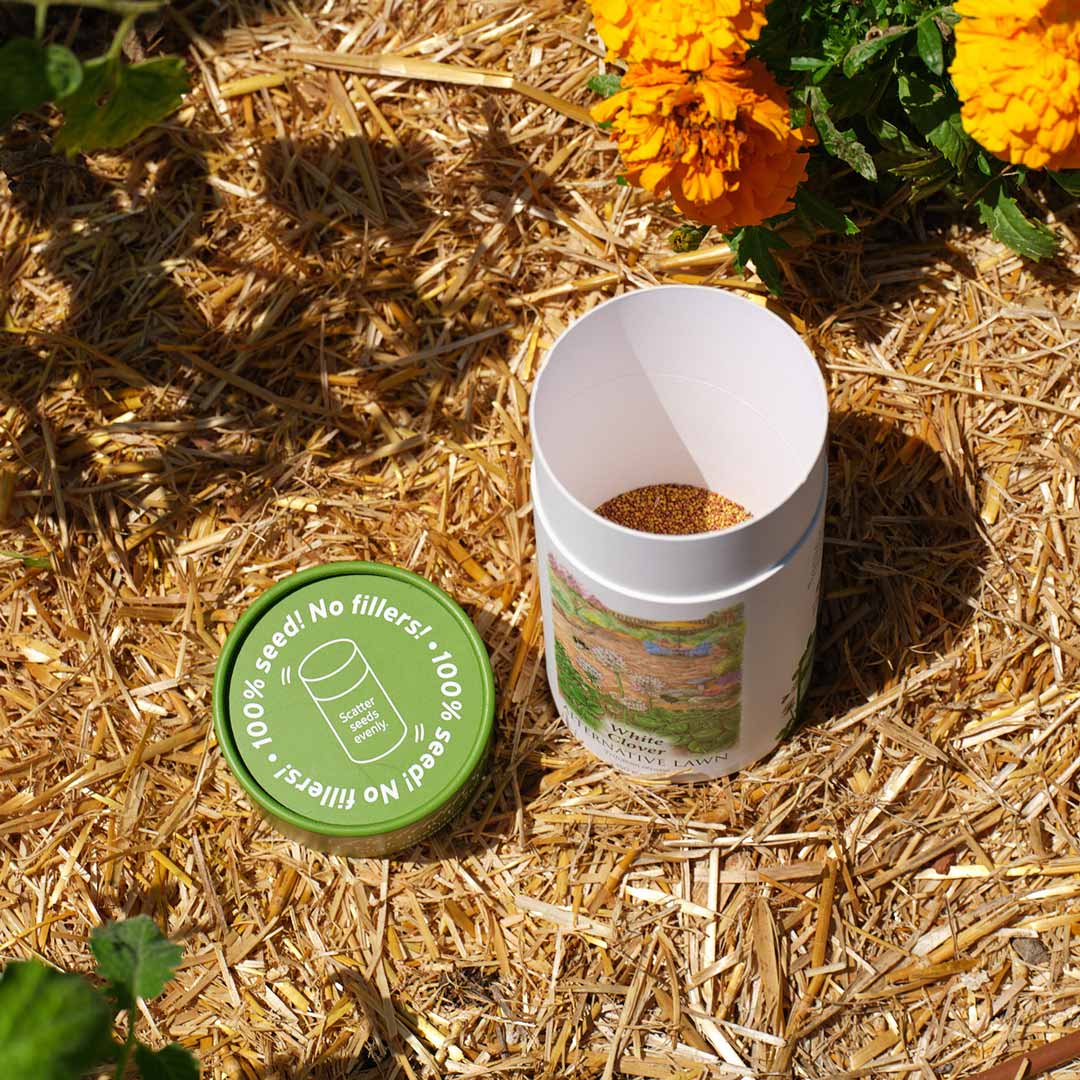 White Clover Alternative Lawn Seed Shaker - Image 3